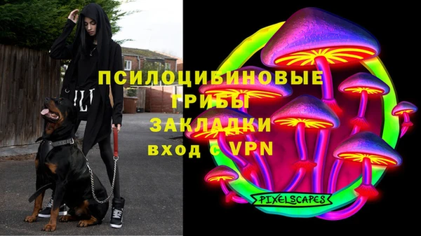 spice Заводоуковск