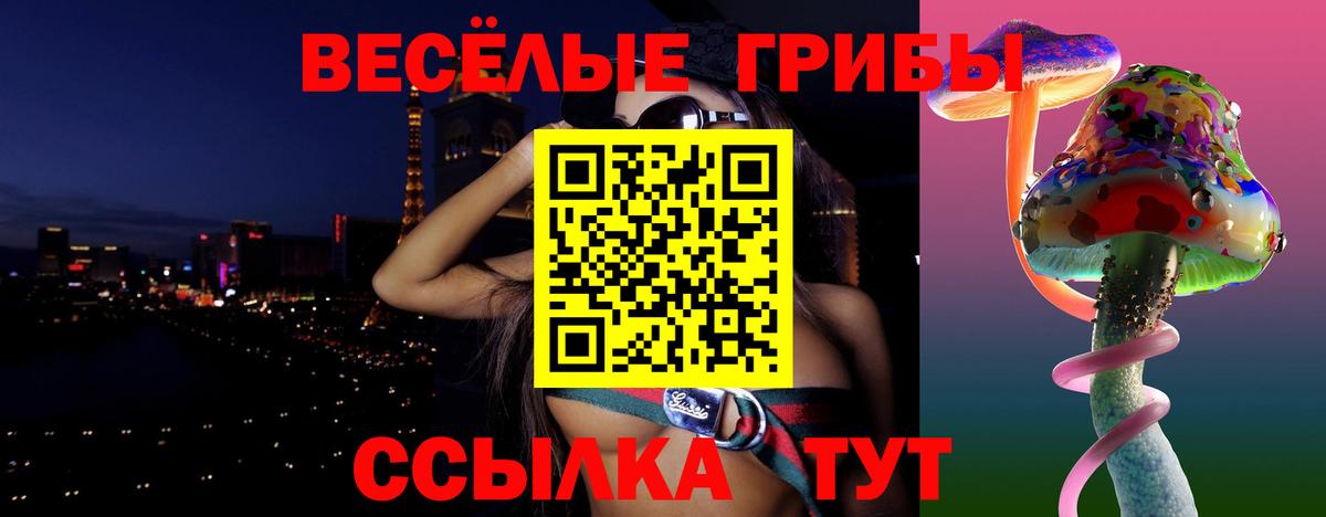 Псилоцибиновые грибы мицелий  Псилоцибиновые грибы Cubensis  Вход с VPN  Сызрань 